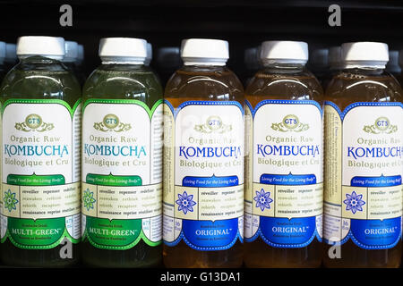 Bottiglie di materie organiche Kombucha nel negozio di alimentari Foto Stock
