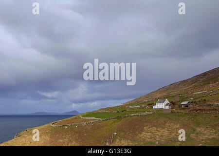 Vista lungo la costa per le isole Blasket all'orizzonte, la penisola di Dingle, Co. Kerry, Provincia di Munster, Repubblica di Irlanda. Foto Stock