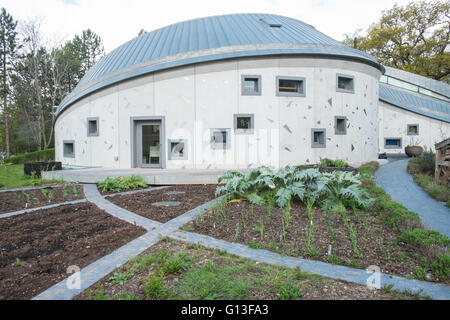 Maggie's caduta in Cancer Center situato accanto al NHS Ospedale Singleton in Sketty,Swansea,West Wales,U.K. Foto Stock