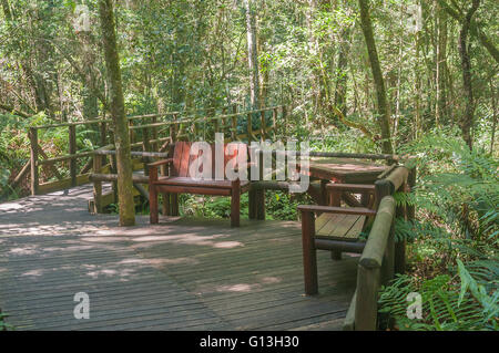 Un angolo rustico al giardino di Eden, una rete di boardwalk sentieri attraverso la foresta di Tsitsikama Foto Stock