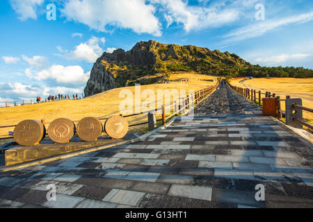 Vista di Seongsan Ilchulbong moutain in Jeju Island, la Corea del Sud. Foto Stock