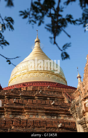 Il Paya Dhammayazika nei dintorni della nuova Bagan (Myanmar), con la campana a forma di cupola dorata. Le temple Dhammayazika. Foto Stock