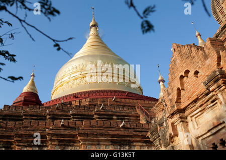 Il Paya Dhammayazika nei dintorni della nuova Bagan (Myanmar), con la campana a forma di cupola dorata. Le temple Dhammayazika. Foto Stock