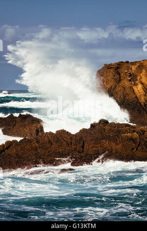 Grandi onde esplodere contro gli scogli al punto Lobos Riserva Naturale Statale della California Big Sur Costa. Foto Stock