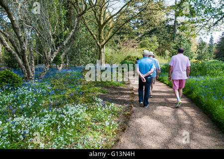 I visitatori a seguito del bosco a piedi, una parte dei giardini di Sandringham House in Norfolk. Foto Stock