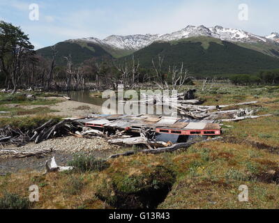 Realizzare localmente un ponte attraverso un flusso di Tierra Mayor Riserva Naturale, con una sub-antartiche e la foresta Alvear Mountians. Foto Stock