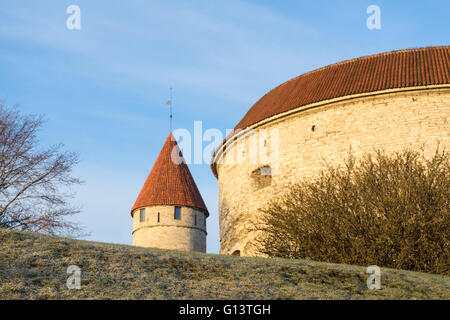 Fat Margaret e Stoltingu torri nella luce di sunrise. La città vecchia di Tallinn city, concetto medioevale Foto Stock