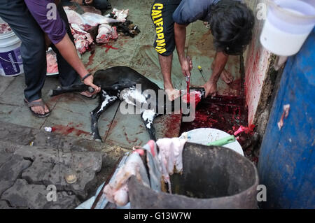 Macellai halal negozio in una delle baraccopoli di kurla, Mumbai, India Foto Stock