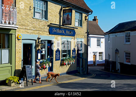 Ragazzo con cane fuori la boa nero pub in Wivenhoe, Essex, Inghilterra, Regno Unito Foto Stock