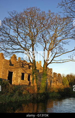 Neath Abbey, Neath in Galles, Regno Unito Foto Stock