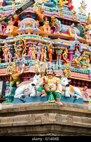 Sculture dipinte di un idolo indiano con le vacche sacre davanti a una parete di statue del tempio Kapaleeshwarar, Mylapore, Chennai Foto Stock