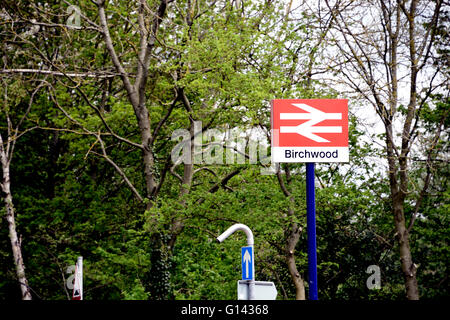 Legno di betulla, Warrington, Cheshire, Regno Unito 8 Maggio, 2016. Un incidente in legno di betulla rail station ha chiuso la linea tra Manchester e Liverpool. Vi è stata una fatalità sulla linea e di trasporto di ricambio viene messo su da la rampa di franchising. La polizia e le ambulanze sono presenti. Credito: Mathew Monteith/Alamy Live News Foto Stock