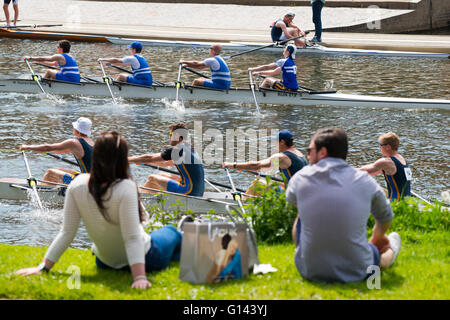 Shrewsbury, Regno Unito. 8 maggio 2016. Le squadre in azione all'annuale Shrewsbury regata sul fiume Severn nello Shropshire, Inghilterra, Regno Unito. Credito: John Hayward/Alamy Live News. Foto Stock