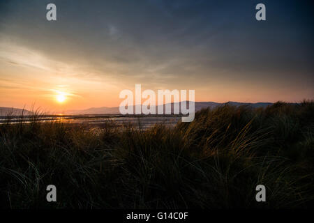 Dyfi Valley, il Galles Centrale, lunedì 09 maggio 2016 UK meteo: Sunrise oltre il Dyfi Ynyslas riserva naturale nell'estuario Dyfi sul bordo meridionale del Parco Nazionale di Snowdonia nel Galles centrale UK. Il meteo di oggi è prevista per essere cloudier dello scambiatore di calore e rispetto per tutto il weekend con focolai di pioggia, anche se a nord ovest del Galles e della Scozia potrebbe ancora vedere le temperature nei metà di anni 20 centigradi Credito: keith morris/Alamy Live News Foto Stock