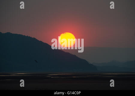 Dyfi Valley, il Galles Centrale, lunedì 09 maggio 2016 UK meteo: Sunrise su parchi eolici il Dyfi estuario e valle sul bordo meridionale del Parco Nazionale di Snowdonia nel Galles centrale UK. Il meteo di oggi è prevista per essere cloudier dello scambiatore di calore e rispetto per tutto il weekend con focolai di pioggia, anche se a nord ovest del Galles e della Scozia potrebbe ancora vedere le temperature nei metà di anni 20 centigradi Credito: keith morris/Alamy Live News Foto Stock