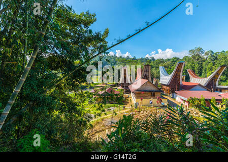 Piccolo villaggio tradizionale con tipica barca tetti sagomato in posizione idilliaca tra belle risaie a terrazze e giungla io Foto Stock