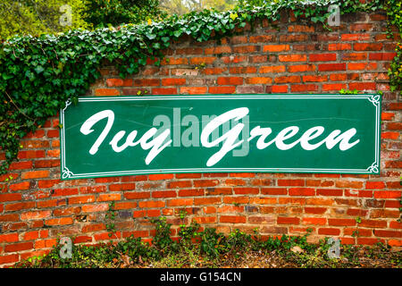 Ivy Green, il luogo di nascita e casa d'infanzia di Helen Keller accedi Tuscumbia, Alabama Foto Stock