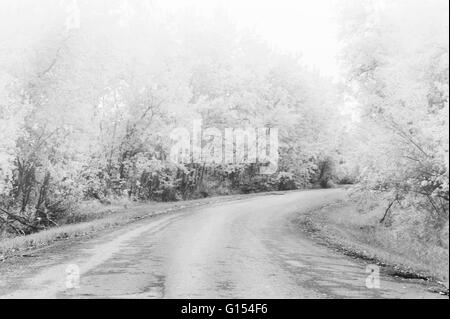 Foto ad infrarossi di strada di campagna. Foto Stock