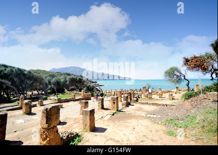 Rovine di Tipasa(Tipaza)l antica città fu una colonia in provincia romana Mauritania Caesariensis situato nel centro costiero Algeria Foto Stock