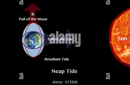 Le maree, la salita e la discesa del livello del mare, sono causati dalle forze di gravità esercitata da la luna e il sole e la rotazione della Terra. La luna è il più grande influenza sulla Terra delle maree. Quando il sole, la luna e la terra sono allineati (al momento della Foto Stock