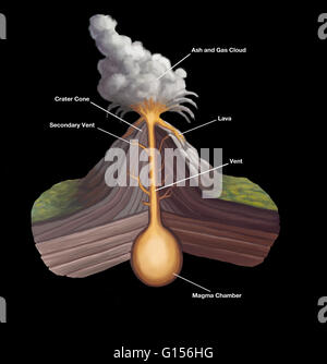 Illustrazione della struttura vulcanica. Un vulcano è un'apertura in un pianeta la crosta che consente hot magma, ceneri vulcaniche e la fuoriuscita di gas dalla camera di magma sotto la superficie. In cima al vulcano di materiali come cenere di lava e altri pyroclast Foto Stock