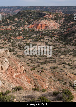 Guardando verso il basso sul Palo Duro Canyon State Park, Texas. Foto Stock