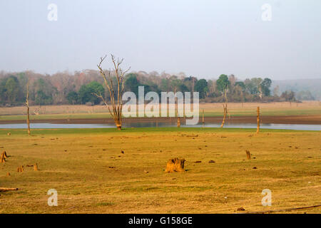 Kabini serbatoio, (Karnataka, India) in estate Foto Stock