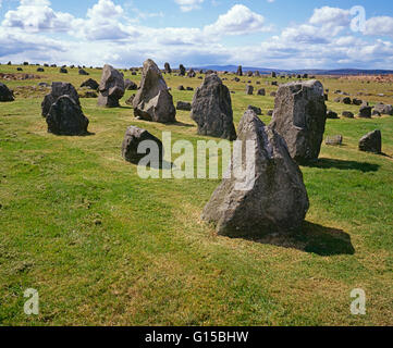 Età del Bronzo Beaghmore megalitico di circoli di pietre e pietre permanente, County Tyrone, Irlanda Foto Stock