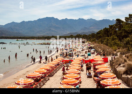 Vista della spiaggia, Calvi, Haute-Corse, Corsica, Francia Foto Stock