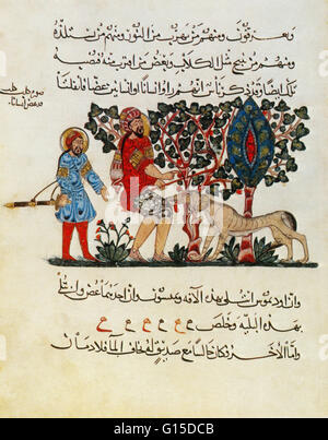 Pagina da un 1224 edizione in lingua araba del 'De Materia Medica" da parte del medico greco farmacologo e botanico Pedanius Dioscoride (40 - 90 AD). L'illustrazione raffigura un rabbioso cane morde un uomo. Dioscoride servito nell'esercito romano sotto l'imperatore Nerone. Come Foto Stock