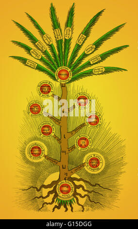 Schema della struttura Sephirothic, mostrando Attributi Divini, il mistico ebraico system sancito la Cabala. L'Albero della Vita, o Etz haChayim in ebraico, è un classico termine descrittivo per la centrale di simbolo mistico utilizzato nella Kabbalah di esoter Foto Stock