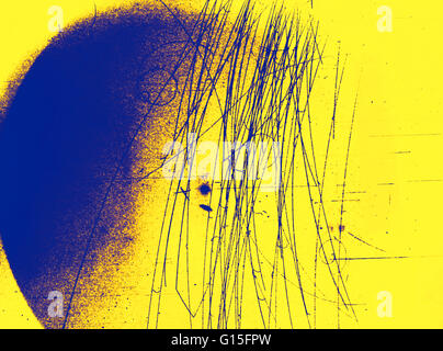 Immagine storica dal Nevis Laboratorio di ciclotrone di meson decay in un liquido bolle di idrogeno camera. Un negativo pi meson decade in un negativo mu meson, che decade in un elettrone negativo. Foto Stock