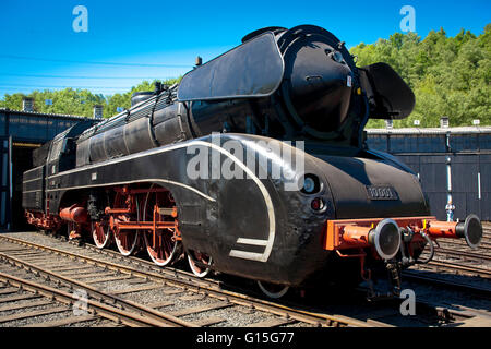 DEU, Germnay, la zona della Ruhr, Bochum, museo delle ferrovie nel distretto Dahlhausen, vecchia locomotiva a vapore. Foto Stock