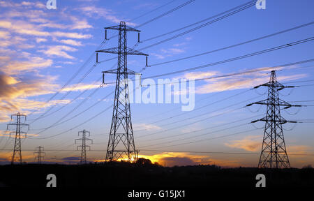 Tralicci di energia elettrica al tramonto. Foto Stock