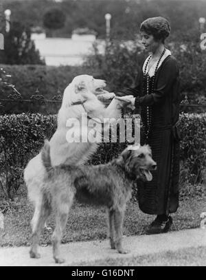 Grazia Coolidge con due cani, tenendo le zampe anteriori di uno. Grace Anna Goodhue Coolidge (3 gennaio 1879 - 8 luglio 1957) era la moglie di Calvin Coolidge e la First Lady degli Stati Uniti dal 1923 al 1929. Si è laureata presso l'Università di Vermont ho Foto Stock