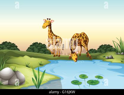 La giraffa acqua potabile presso lo stagno illustrazione Illustrazione Vettoriale