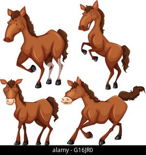Marrone a cavallo in quattro diverse pose illustrazione Illustrazione Vettoriale