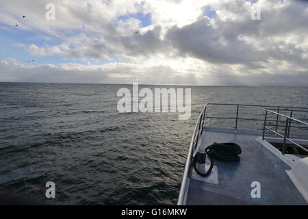 Robben Island carcere Sud Africa Foto Stock