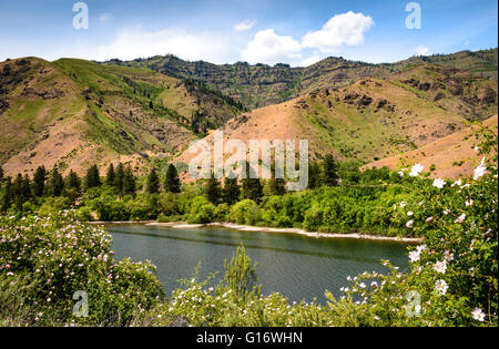 Hells Canyon National Recreation Area Foto Stock