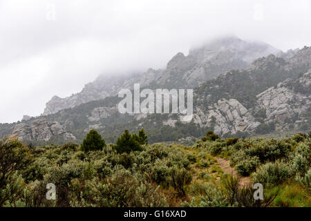 Città di roccia Riserva nazionale Foto Stock