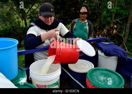 Il trasporto di latte in Pulun ' Las Huaringas ' - HUANCABAMBA.. Dipartimento di Piura .PERÙ Foto Stock