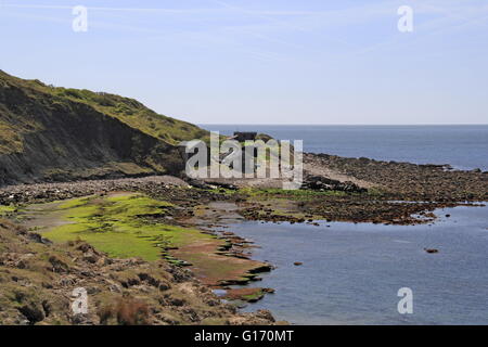 Chapman's Pool, Worth Matravers, Corfe, Purbeck, Jurassic Coast, Dorset, Inghilterra, Gran Bretagna, Regno Unito, Gran Bretagna, Europa Foto Stock