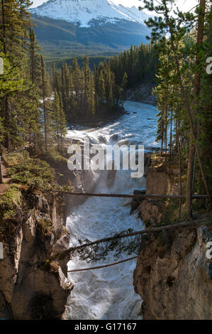 Vista del fiume Sunwapta Japser nel Parco Nazionale. Foto Stock