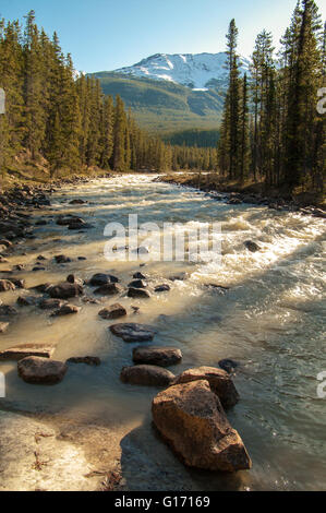 Rocce lungo la sponda del fiume Sunwapta nel Parco Nazionale di Jasper. Foto Stock