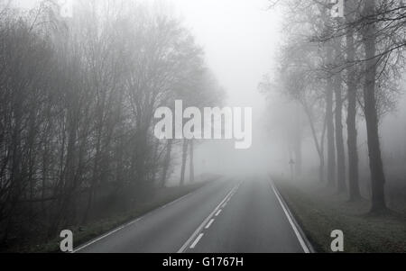 Foschia mattutina strada asfaltata attraverso il bosco in autunno Foto Stock