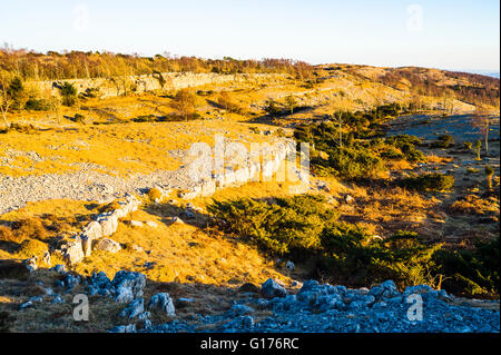 Luce della Sera sul crinale di Whitbarrow cicatrice nel Parco nazionale del Lake District Cumbria Foto Stock