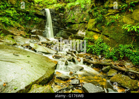 Cascata in Fairy Glen su Sprodley Brook tra Parbold e Appley Bridge Lancashire Inghilterra Foto Stock