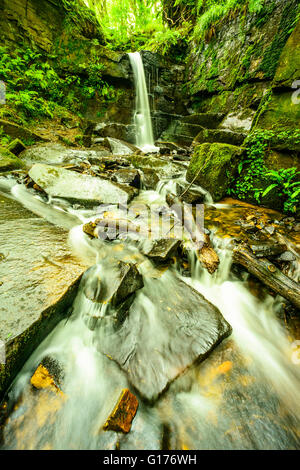 Cascata in Fairy Glen su Sprodley Brook tra Parbold e Appley Bridge Lancashire Inghilterra Foto Stock