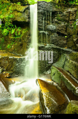 Cascata in Fairy Glen su Sprodley Brook tra Parbold e Appley Bridge Lancashire Inghilterra Foto Stock