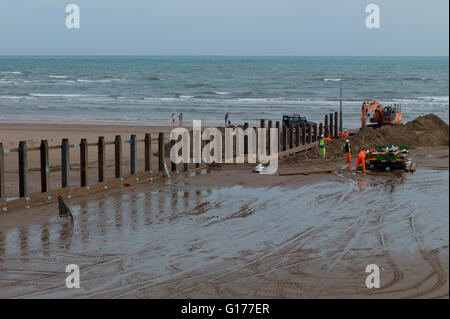 Operai ricostruzione del inguine sulla spiaggia a Dawlish in South Devon UK. Questa zona ha avuto grande erosione costiera problemi Foto Stock